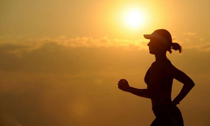 Exercise and nutrition regimen benefits physical, cognitive health