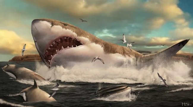 Why did megalodons die out?