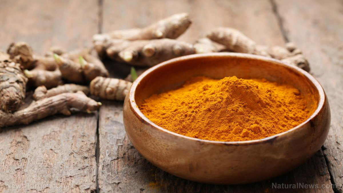 Turmeric may be the key to preventing diseases caused by antibiotic-re