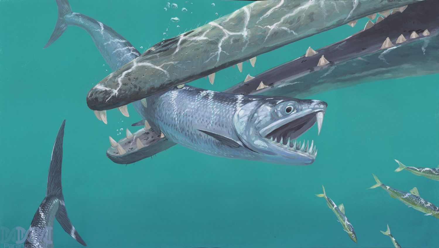 Strange saber-toothed anchovies plowed the seas after the extinction o