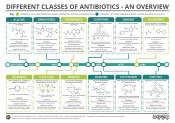 A-Guide-to-Different-Classes-of-Antibiotics