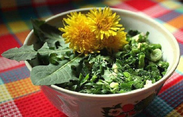 Valgomos piktžolės - geriausi vaistai nuo pavasario avitaminozės