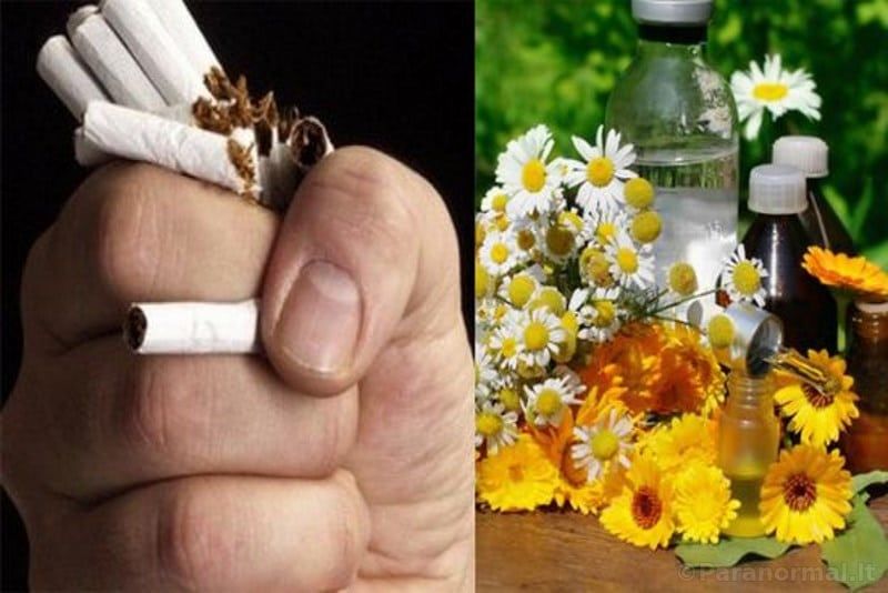 Rūkymas, Rūkymas liaudies medicinoje, Vaistažolių mišiniai rūkymo