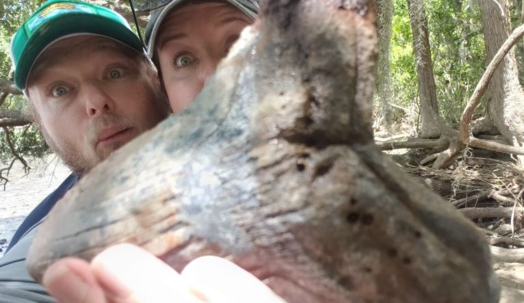 In South Carolina, A Couple Discovered A Palm-Sized Megalodon Tooth