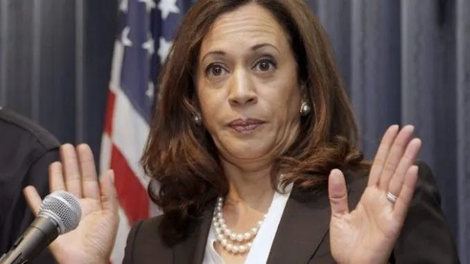 Victims Accuse Kamala Harris of Covering Up Child Sex Abuse By Pedophi