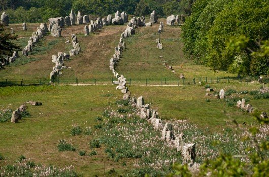 Forest Of Stones, France, Ancient Mysteries, Unexplained