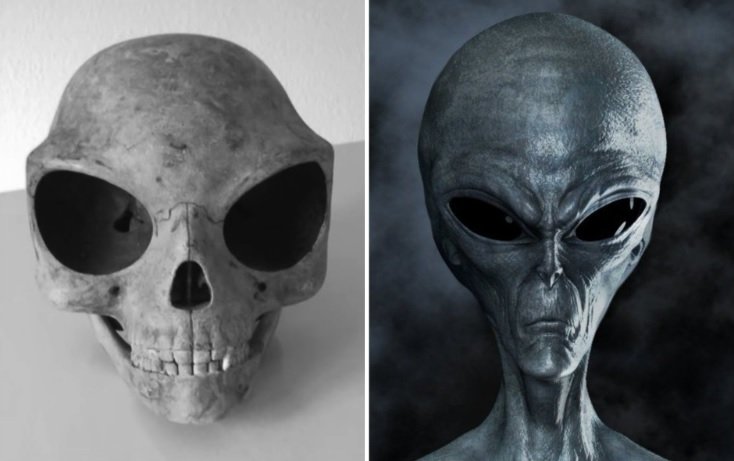 The Mystery Of ‘Alien-Like’ Sealand Skull