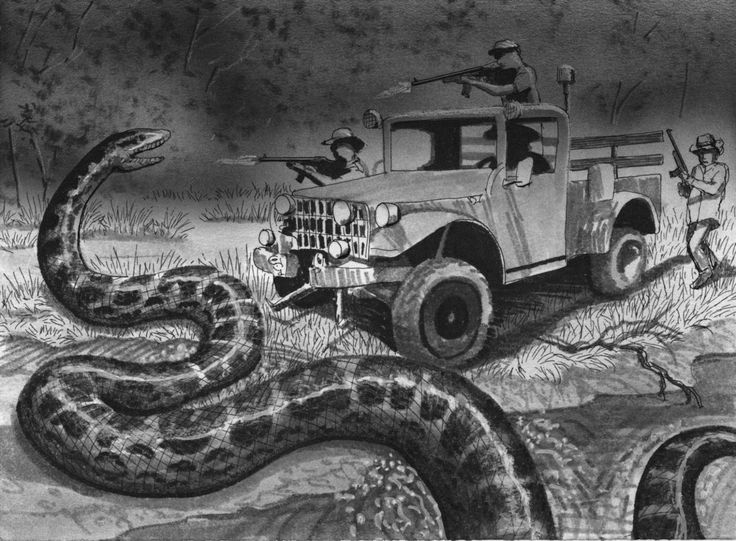 Sucuriju Gigante – The Tale Of The Giant Anaconda
