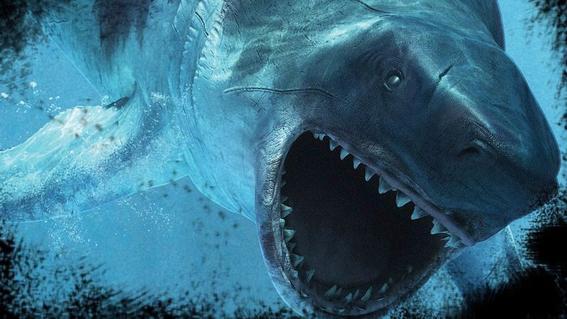 Scientists Managed To Establish Exactly How The Megalodon Looked Like