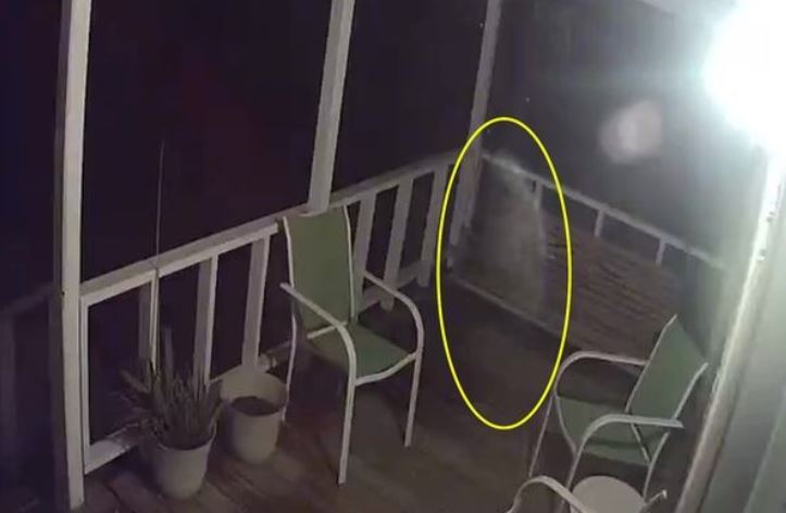 Watch: The Ghost Of The Deceased Husband Came To Visit His Sick Wife