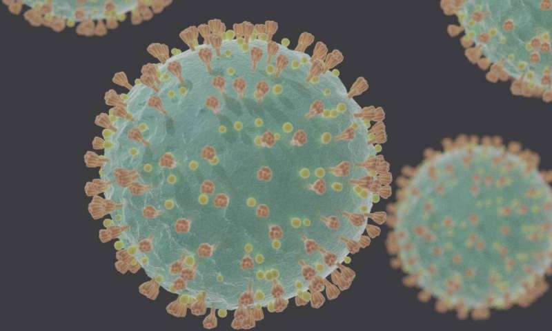 Pinpointing the 'silent' mutations that gave the coronavirus an evolut