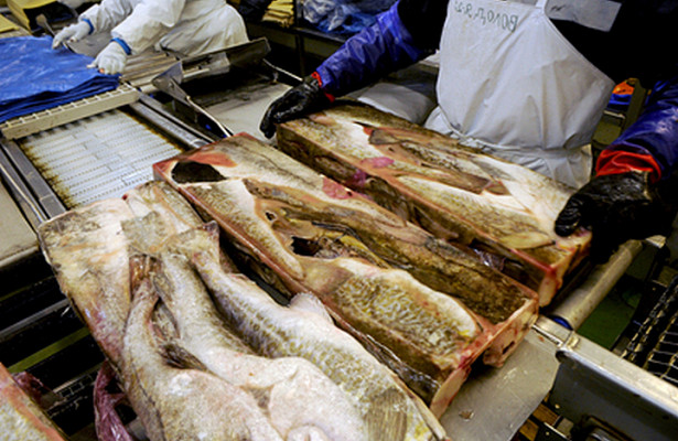 China first finds live coronavirus samples on frozen fish packaging