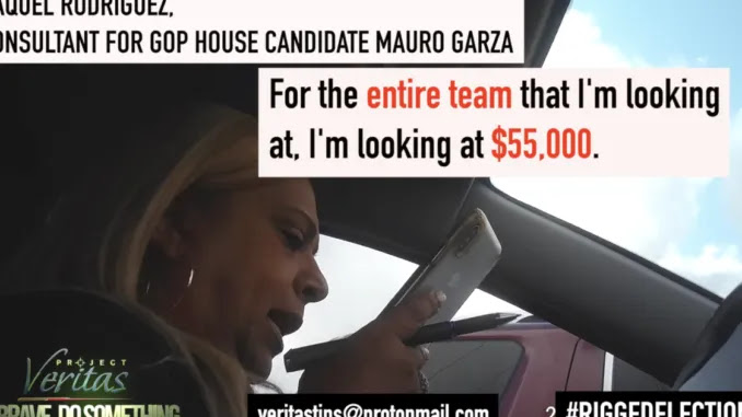 GOP Ballot Chaser Admits She’s Being Paid To Illegally Flip Votes