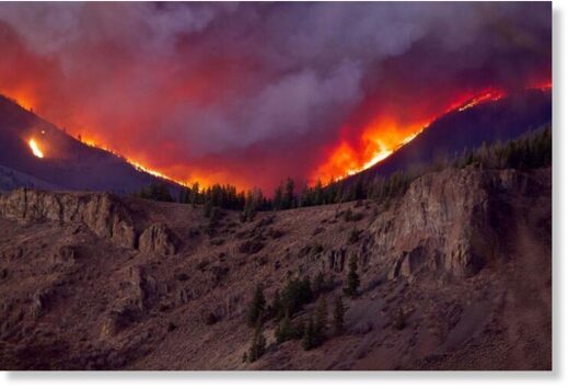 Colorado fire covers 69,000 hectares