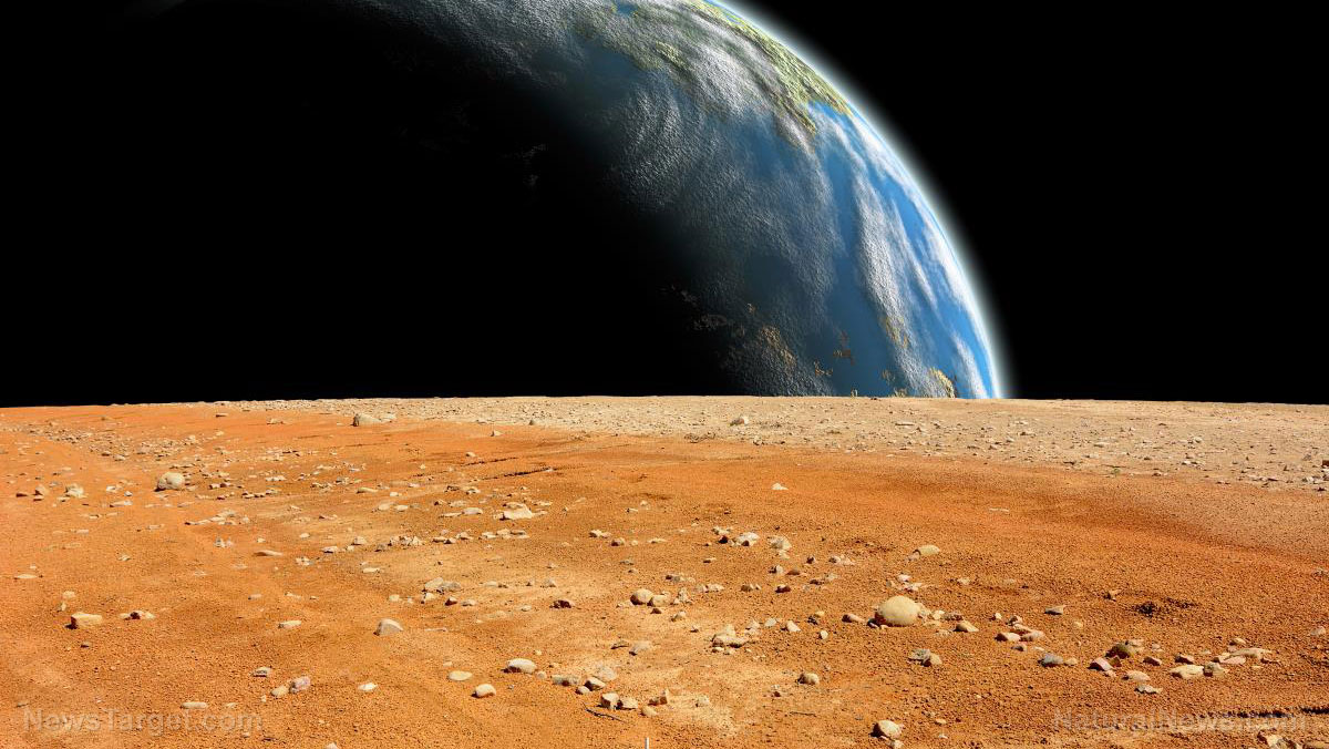Life on the Red Planet: Ex-NASA scientist claims the Viking missions