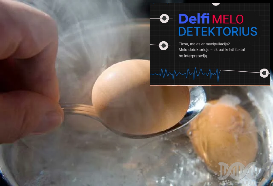 Detektorius Bando Įrodyti Savo Melagiena: Vištos Kiaušinis Nuo Peršali