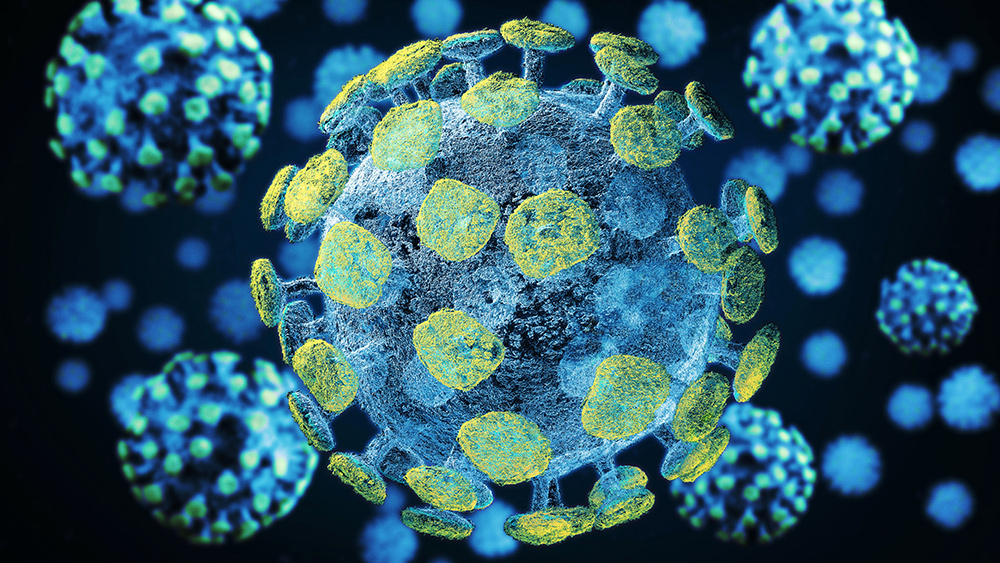 Just like other coronaviruses: Study suggests seasonal changes affect