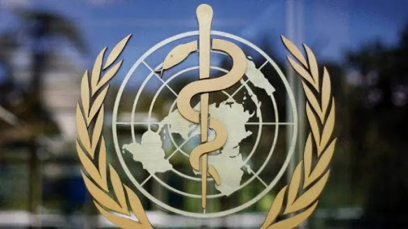 WHO Warns We Need To Prepare For Pandemic Even More Severe Than The Cu
