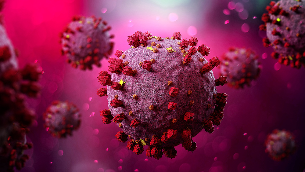Virus expert claims coronavirus pandemic is “the greatest hoax” ever