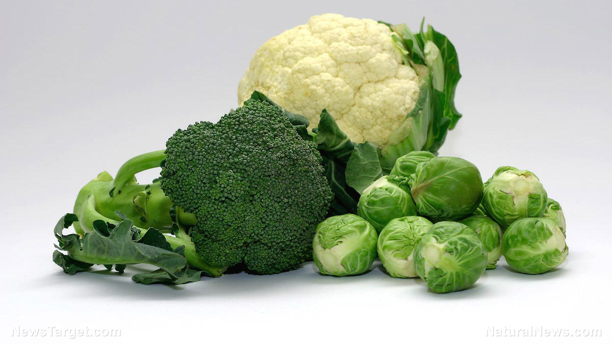 Study: Battling cancer and preventing cancer recurrence with crucifero
