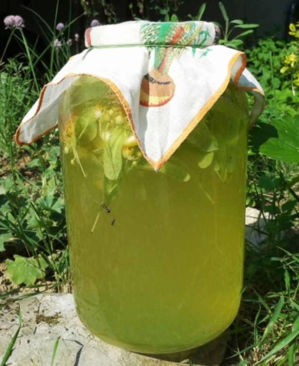 Aromatingas, gaivus ir naudingas liepų limonadas