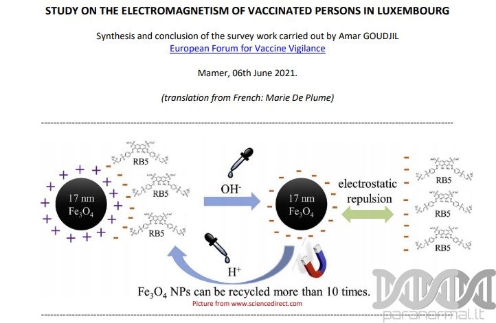 APKLAUSA: atrodo, kad vakcina kraujyje kaupia magnetines nanodaleles..