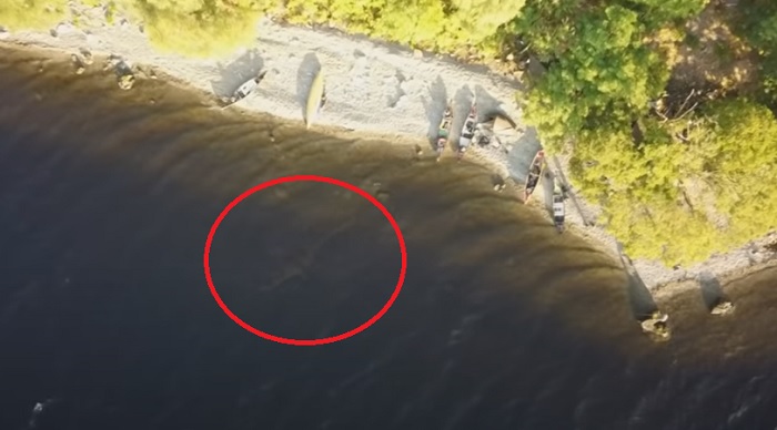 Škotijos upėje dronu užfiksuota didžiulė pabaisa