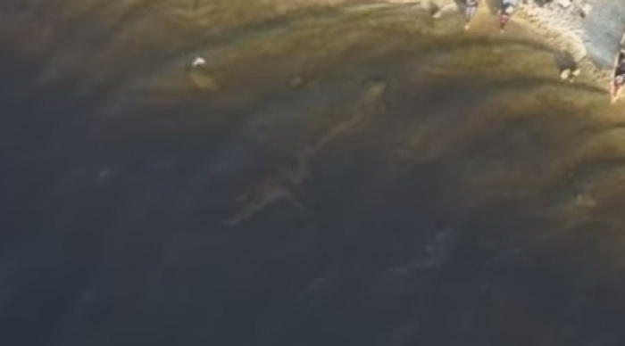 Škotija, ežeras, Nesė, Loch Liven, ežero pabaisa, dronas, vaizdo įraša