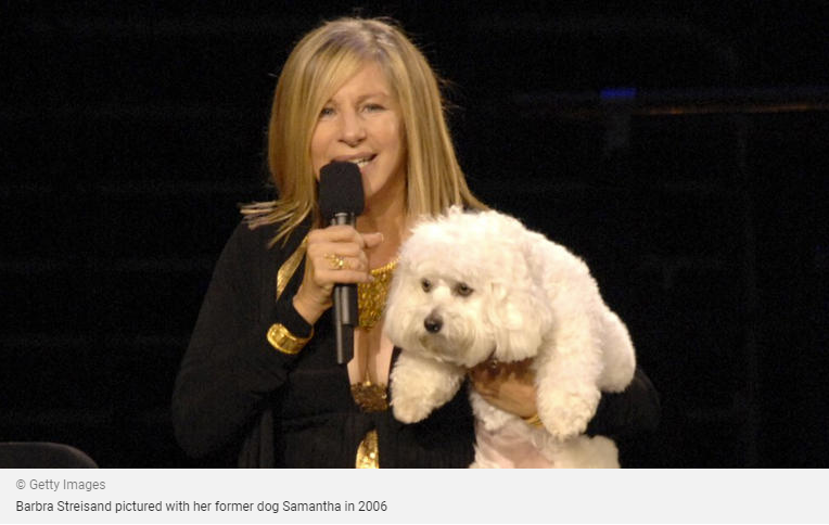 Barbra Streisand su savo buvusiu šunimi Samanta 2006 m.