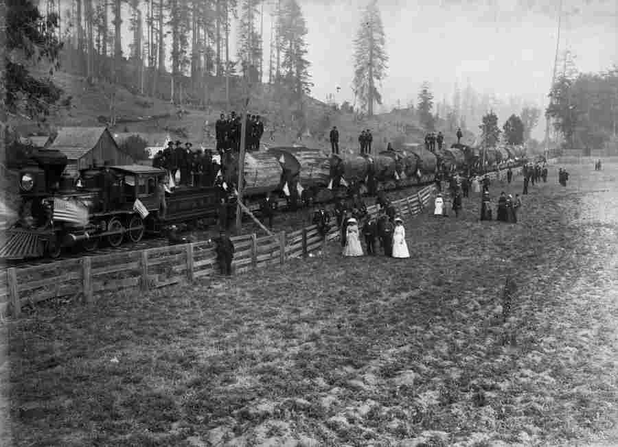 16 rąstų krovimas į traukinį, 1885 m.