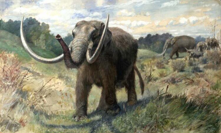 Prieš du milijonus metų Grenlandijoje gyveno mastodontai, artimi dramb