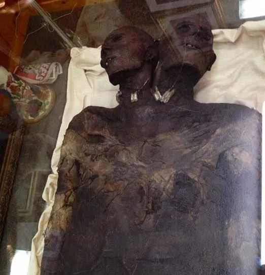 KAP DWA, Mumija, milžinas, dvi galvos, dvigalvis, Patagonija