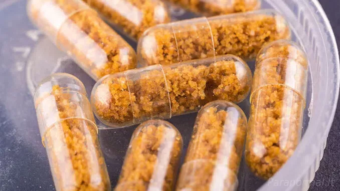 FDA suteikia leidimą "Big Pharma" pradėti gaminti tabletes iš žmogaus