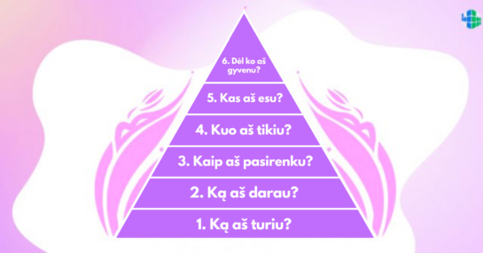 Diltso piramidė: kodėl turite būtent tai, ką turite