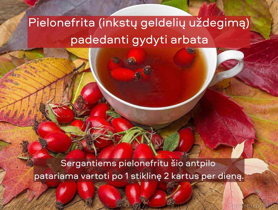 Pielonefrita (inkstų geldelių uždegimą) padedanti gydyti arbata