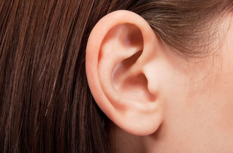 kodėl vyresnio amžiaus žmonės turi dideles ausis ir nosis