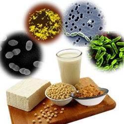 Gerosios bakterijos, probiotikai - stiprina imunitetą, žarnyną