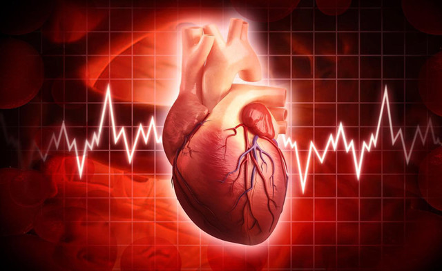 širdis, pulsas, širdies veikla, organizmas, sveikatos patarimai