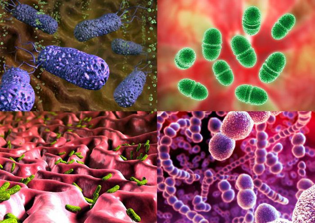 vėžys, bakterijos, bakterijų teorijos, virusas, sveikata, liga