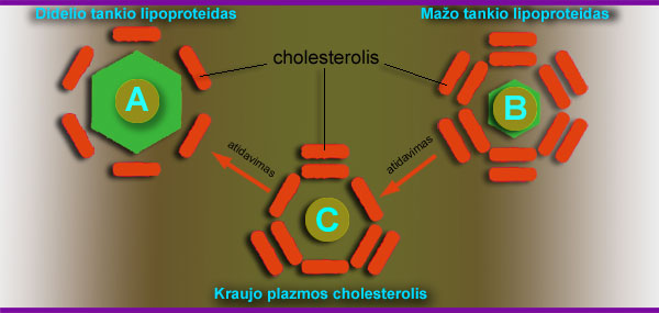 Cholesterolio-atidavimas