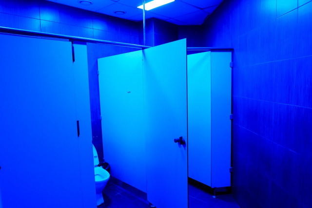 apšvietimas, mėlyna šviesa, tualetas, mokslas, būdelės, durys