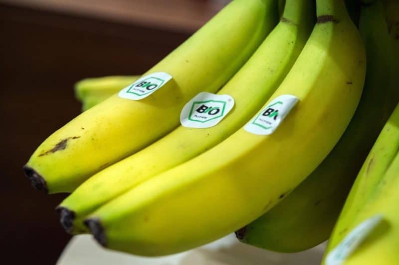 Bananai: 11 teigiamų savybių sveikatai - martynofondas.lt