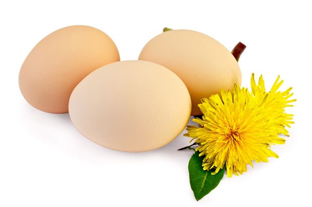 mityba, kiaušiniai, mitai, sveikata