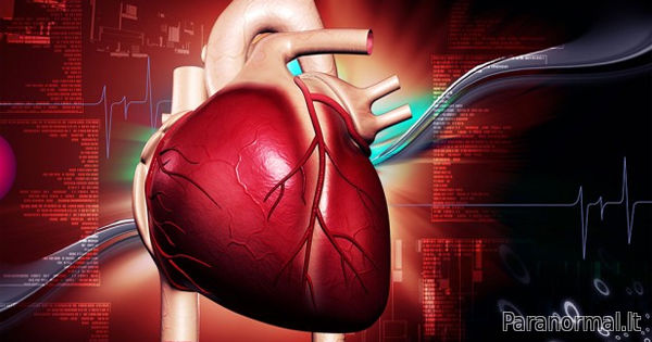 širdies liga kaip esama sveikatos problema, turinti įtakos hipertenzija 2 šaukštai 3 laipsniai