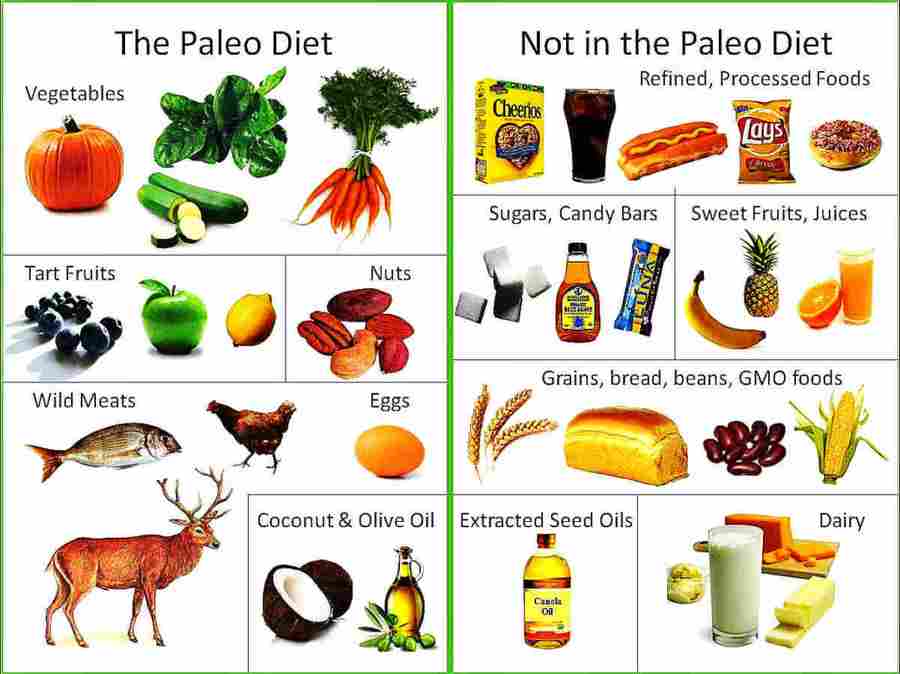 Paleolito Dieta, dieta, mityba, sveikata, daržovės, Paranormal.lt