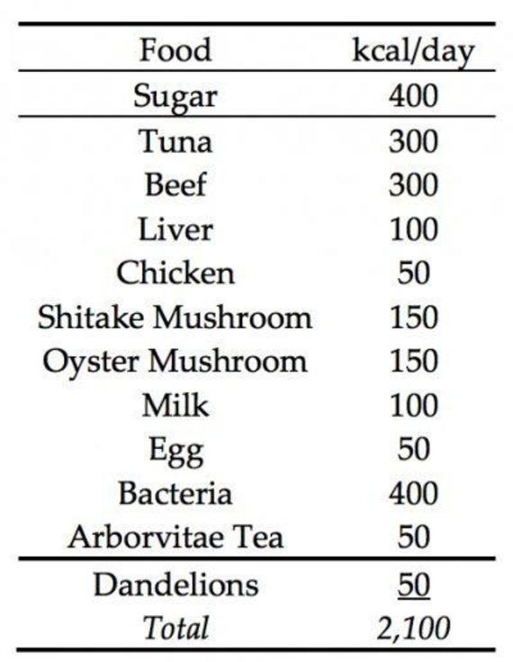 D.Denkenbergerio dietos lentelė: ką valgytume per atominę žiemą