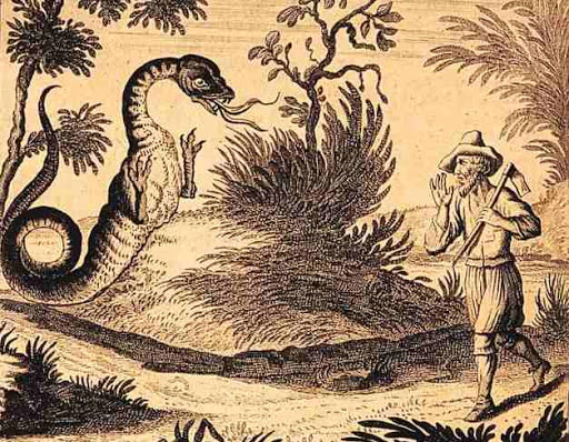 Monstrai, Kriptozoologija, gyvatkatės, būtybės, tacelvurmai