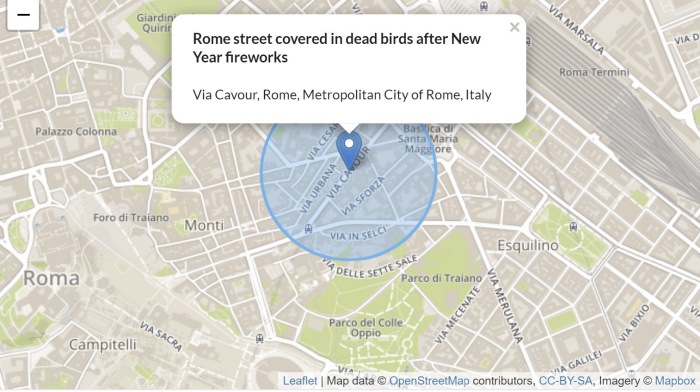 Paukščiai, Roma, Nelaimės, nutikimai