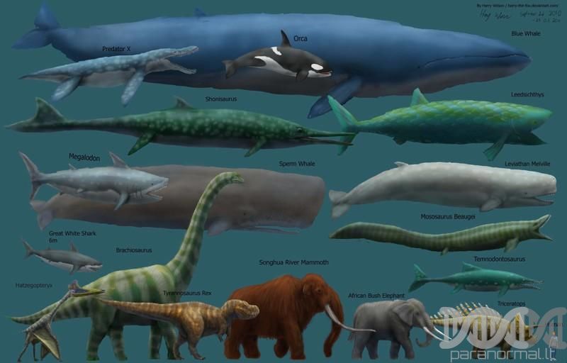 Dinozaurai buvo patys didžiausi gyvūnai iš visų gyvenusių žemėje