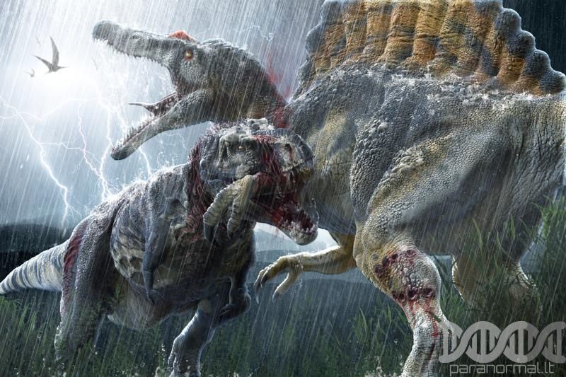 Tiranozauras yra stambiausias iš visų kažkada žeme vaikščiojusių plėšr